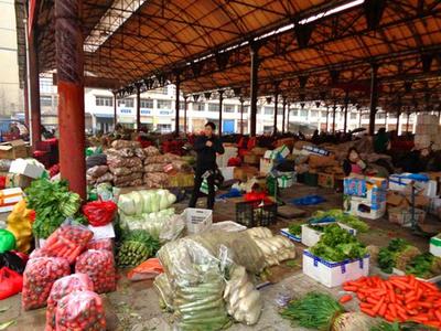 倒春寒再臨風(fēng)險(xiǎn)與果農(nóng)科學(xué)防凍指南