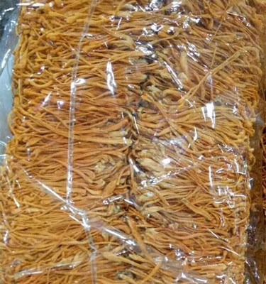 純天然本色 無硫無染蟲草花的品質(zhì)與食用價(jià)值